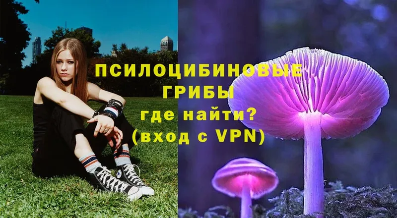 наркошоп  OMG tor  Галлюциногенные грибы Psilocybe  Павловский Посад 